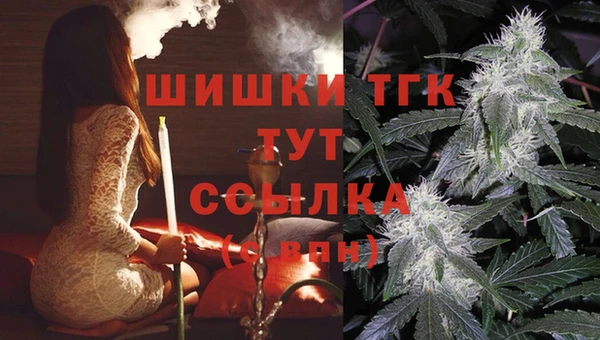 СК Абаза