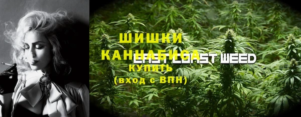 СК Абаза