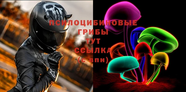стаф Алексеевка