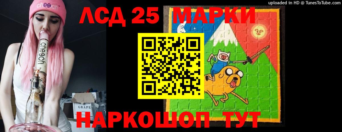 KRAKEN как войти  ЛСД экстази ecstasy  Вход с VPN  Камень-на-Оби  Лсд 25 экстази ecstasy  Лсд 25 экстази 