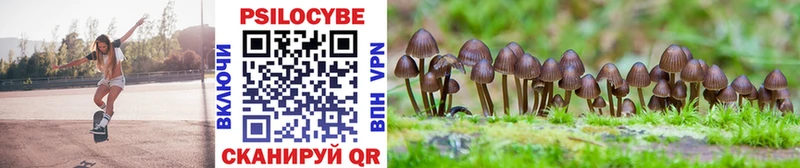 Галлюциногенные грибы MAGIC MUSHROOMS  даркнет сайт  Камень-на-Оби 