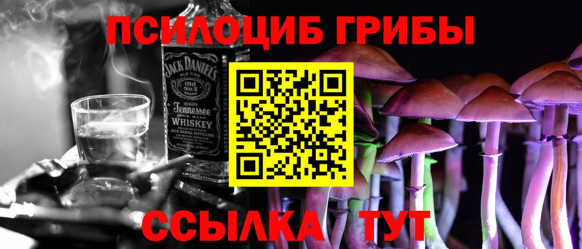Галлюциногенные грибы MAGIC MUSHROOMS  Псилоцибиновые грибы Psilocybine cubensis  Вход с VPN  Камень-на-Оби 